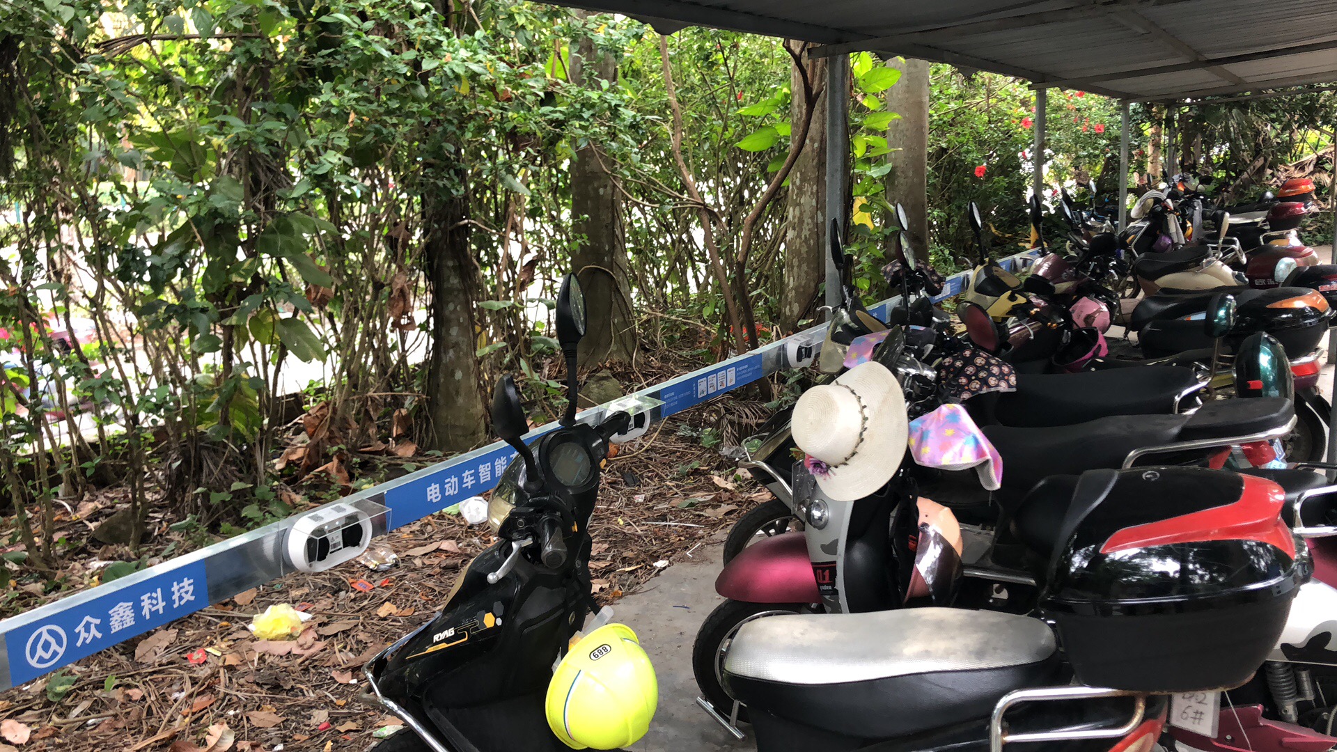 家通驾校项目