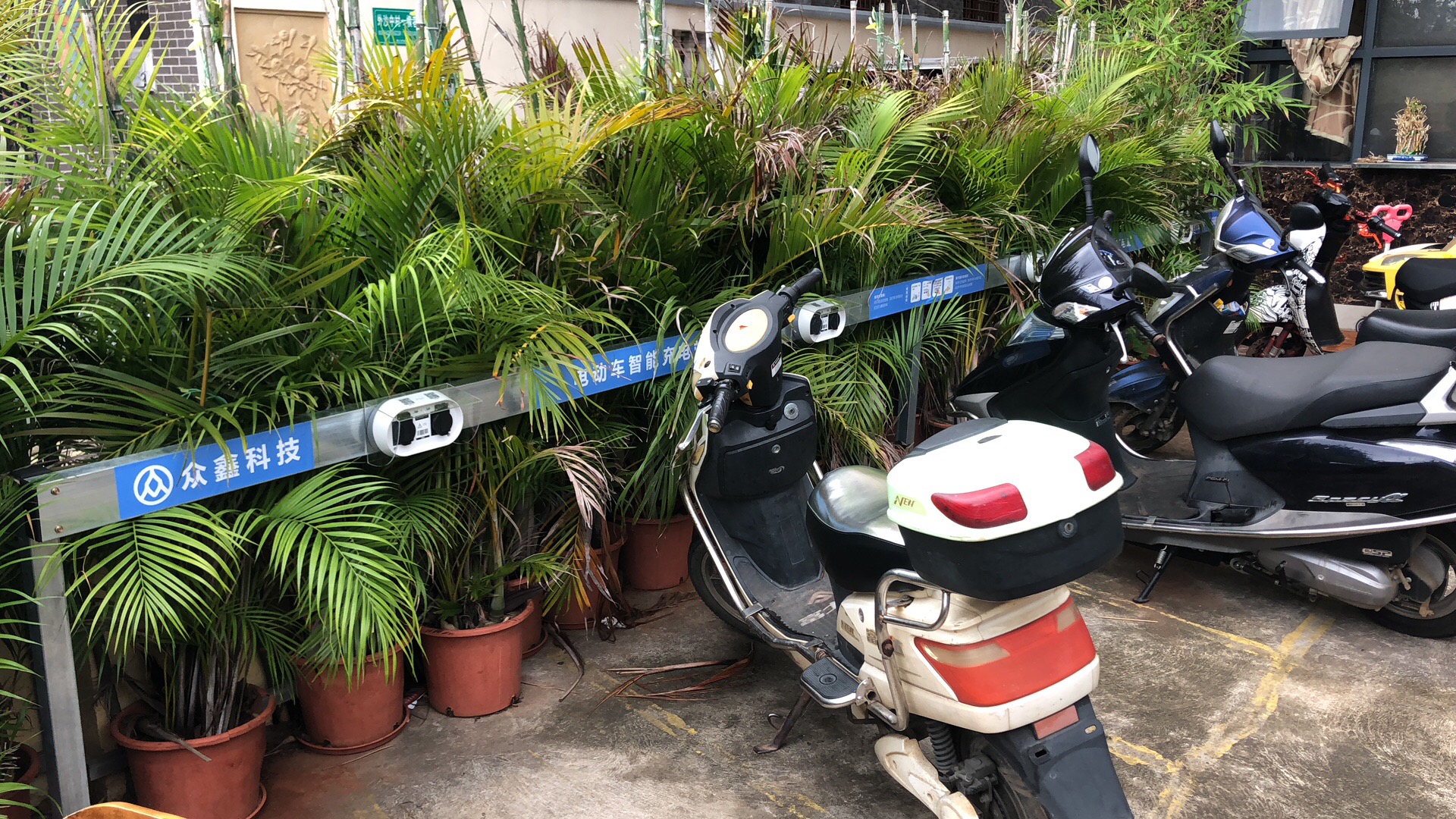 维多骊亚旅租